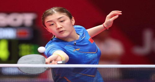 本届欧锦赛 本届欧锦赛